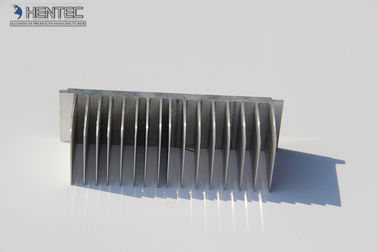 LEIDENE van de douane van Hoge Macht de Beroeps van de Uitdrijvingsprofielen Aluminiumheatsink