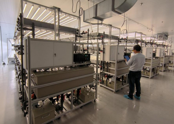 Het planten van hydroponische kweeksystemen van 3 meter