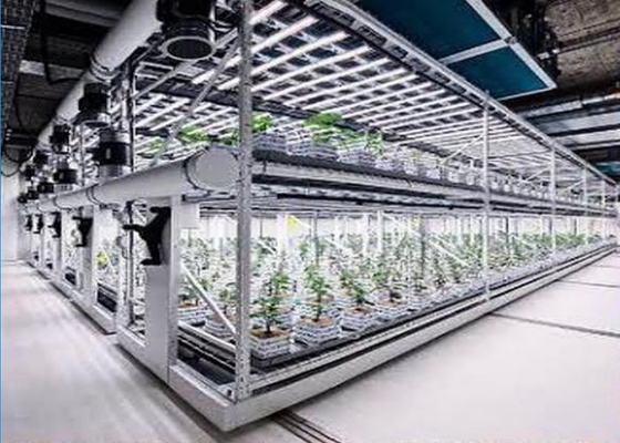 Gepersonaliseerd Aeroponics Hydroponics System voor het planten
